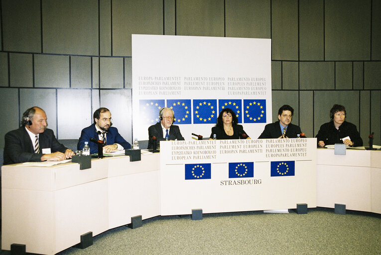 Valokuva 4: Press conference in Strasbourg