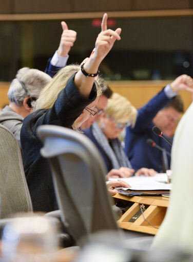 IMCO committee meeting - Vote on accessibility requirements for products and services. Statement by Morten LOKKEGAARD