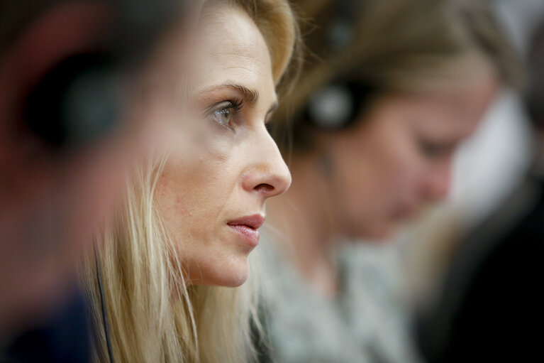 Fotografia 9: Press conference: ' Revision of the EU gun law - outcome of the vote in plenary '