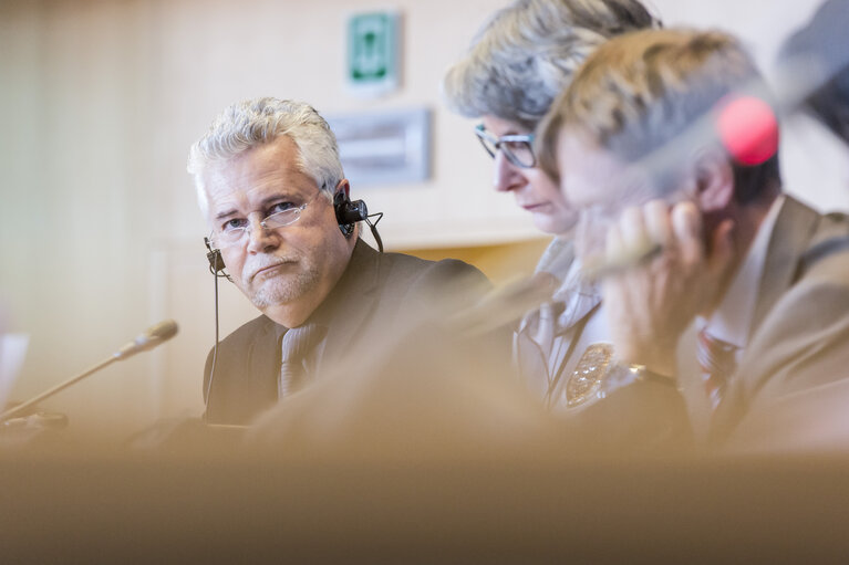 Fotografija 8: TRAN Committee - Exchange of views with TEN-T Coordinators on  ' Boosting intelligent transport systems and innovative financing; facing decarbonisation '