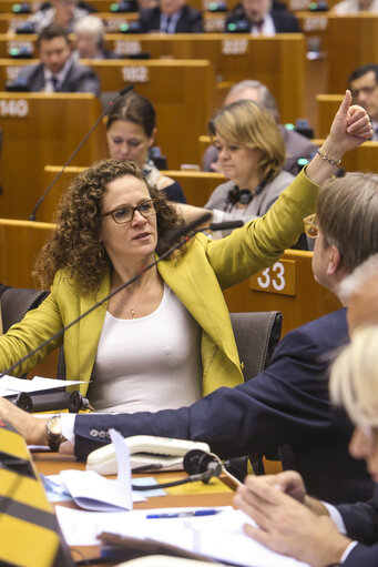 Fotografie 43: Plenary session - Week 17 2017 in BrusselsVOTES followed by explanations of votes