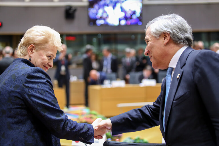 Foto 4: Special European Council meeting ( Article 50 )