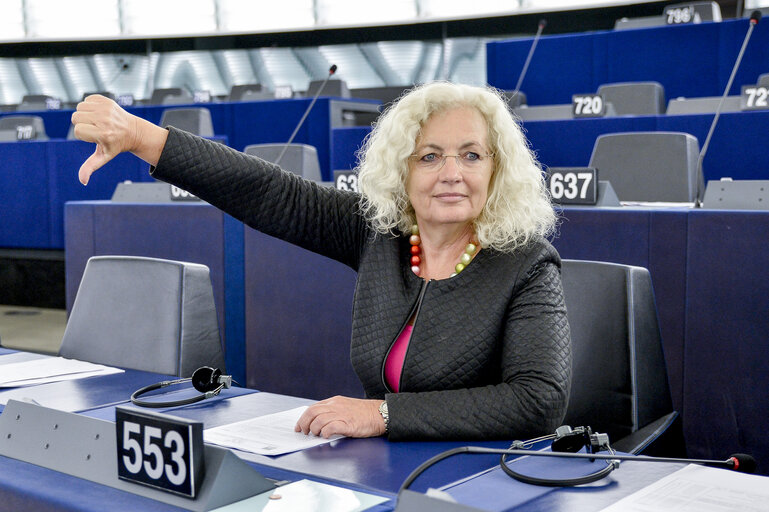 Photo 2 : Karin KADENBACH in the European Parliament in Strasbourg