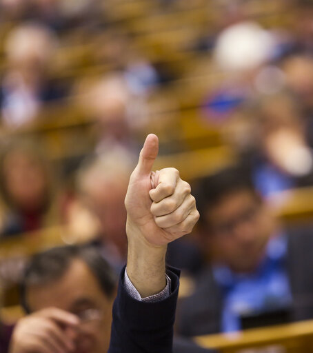 Fotografie 39: Plenary session - Week 17 2017 in BrusselsVOTES followed by explanations of votes