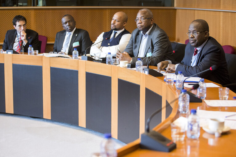 Nuotrauka 8: Meeting with a delegation of the Congolese Opposition Coalition