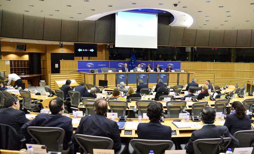 Fotografie 8: 24th meeting of the EU-Chile Joint Parliamentary committee - Opening session