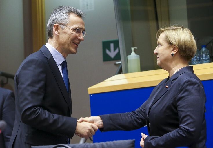 Fotografija 14: Joint AFET-SEDE meeting - EU-NATO cooperation - Exchange of views with NATO Secretary General