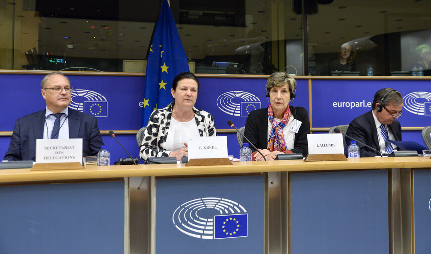 Fotografie 18: 24th meeting of the EU-Chile Joint Parliamentary committee - Opening session