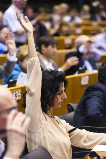 Fotografie 35: Plenary session - Week 17 2017 in BrusselsVOTES followed by explanations of votes