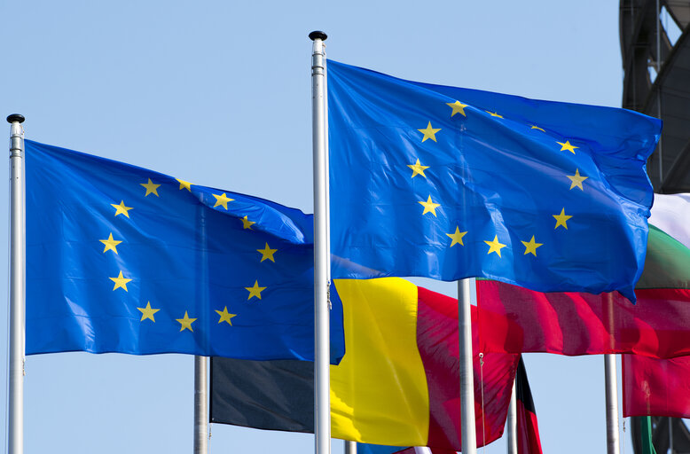 Fotografija 7: Flags in the European Parliament in Strasbourg