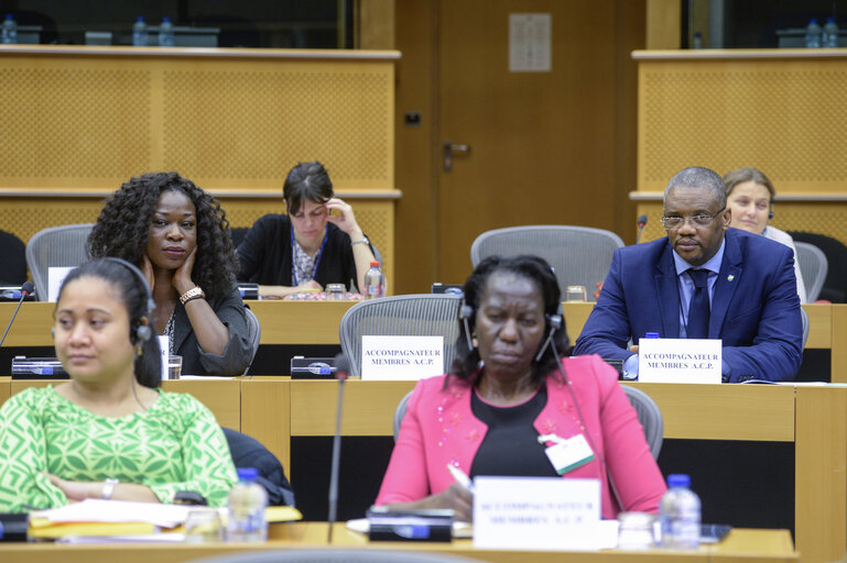 Billede 16: Bureau of the ACP-EU Joint Parliamentary Assembly