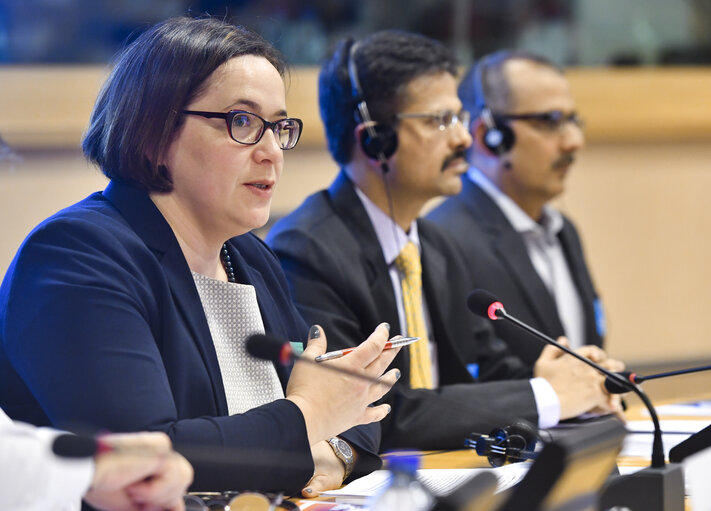 Fotografie 5: DROI/INTA joint hearing on Business and Human Rights in EU External Policies -  Implementation of the UN Guiding Principles on Business and Human Rights and access to remedies