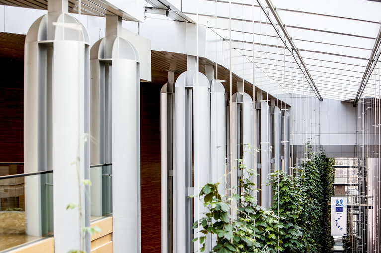 Photo 2: Banner for the 60th anniversary of the European Parliament in Strasbourg