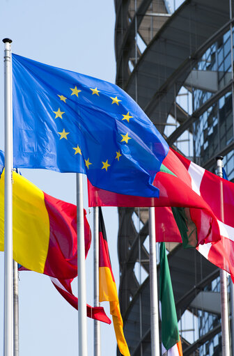 Flags in the European Parliament in Strasbourg