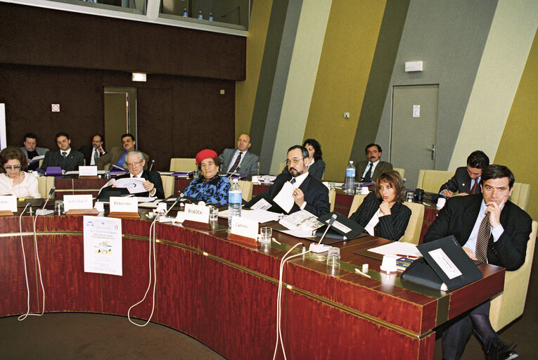 Nuotrauka 12: Meeting at the European Parliament in Strasbourg