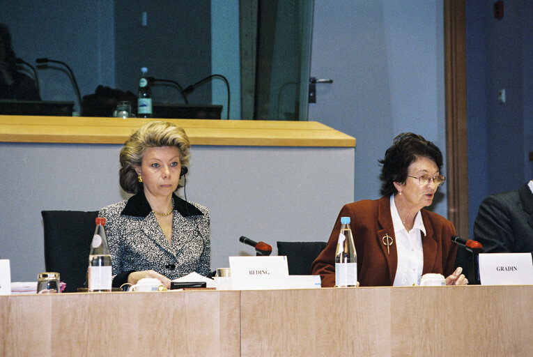 Foto 7: LIBE Committee Meeting on Drug Trafficking, Racism and Xenophobia