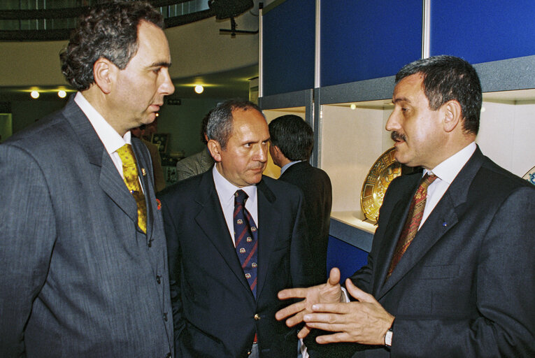 Foto 13: Launch of an exhibition on City Deruta (Umbria - Italy) at the European Parliament in Strasbourg