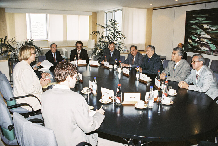 Fotografija 3: Meeting with the Speaker of the Chamber of Deputies of Romania at the European Parliament in Brussels