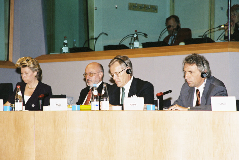 Fotografia 10: Expert hearing on the fight against organized crime and street crime drug-related