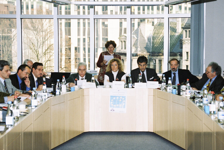 Fotogrāfija 7: Meeting with Italian MEPs - Community's Resources and Regional Policy