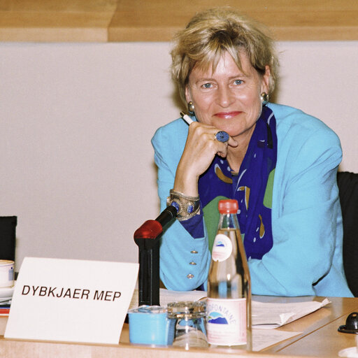 Portrait of MEP Lone DYBKJAER during a meeting at the European Parliament in Brussels