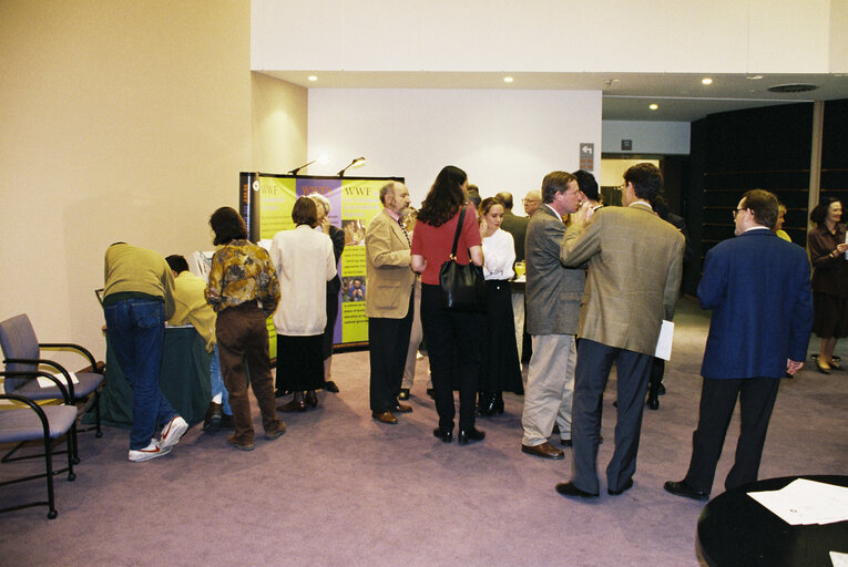 Foto 9: Stand of the WWF and the European Environment agency