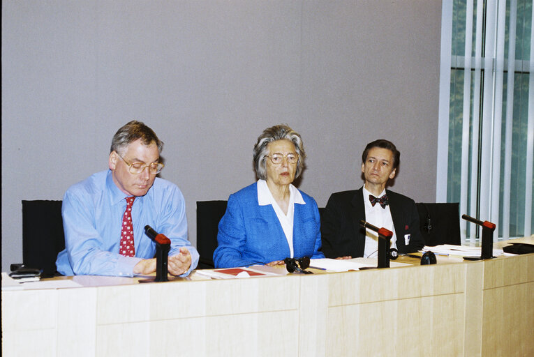 Foto 2: MEP Kenneth D. COLLINS meets with guests led by former MEP Baroness ELLES