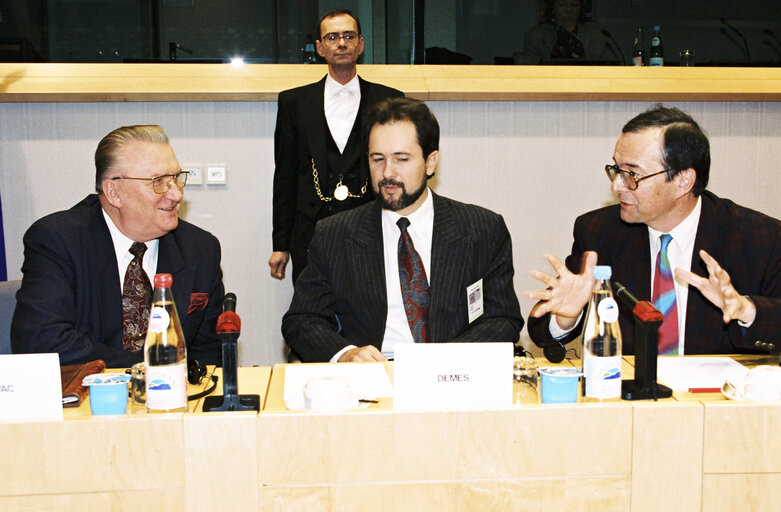 Fotografie 11: Visit of the President of Slovakia to the EP.