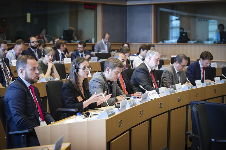 IMCO hearing on 'European Services e-card '
