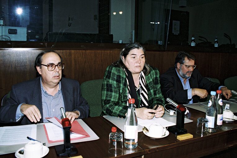 Temporary committee of inquiry into BSE meeting at the European Parliament