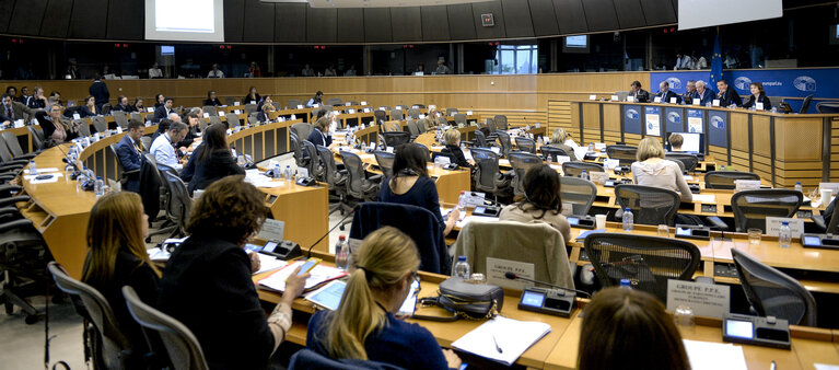 Foto 11: Joint JURI / LIBE Workshop: ' The Implementation of the Environmental Liability Directive '