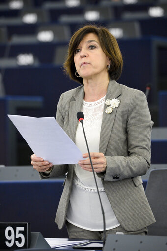 Foto 6: Plenary session week 20 2017 in Strasbourg - Annual report 2015 on the protection of EU's financial interests - Fight against fraud