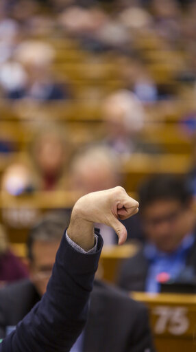 Fotografie 38: Plenary session - Week 17 2017 in BrusselsVOTES followed by explanations of votes