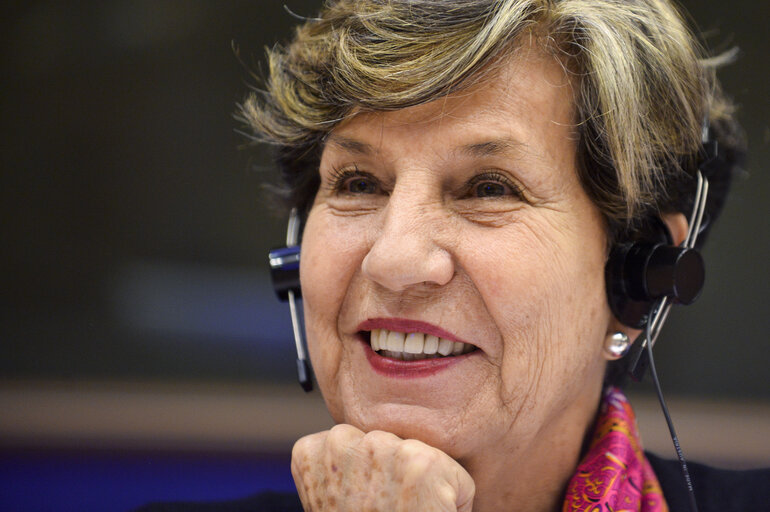 Fotografie 13: 24th meeting of the EU-Chile Joint Parliamentary committee - Opening session