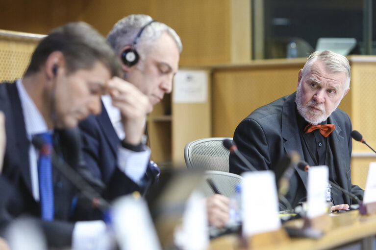 Foto 10: SEDE Subcommittee - The future of conventional arms control in Europe - Exchange of views