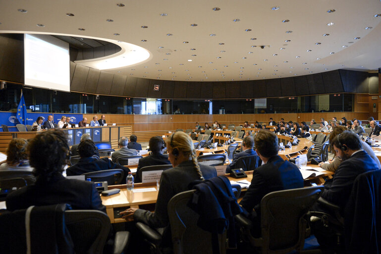 Foto 16: EP Delegation for relations with Latin America - Public hearing : ' The Role and Influence of Civil Society in EU – Latin America Trade Agreements '