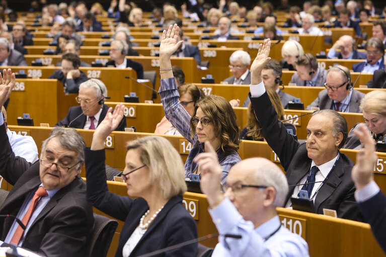 Снимка 45: Plenary session - Week 17 2017 in BrusselsVOTES followed by explanations of votes