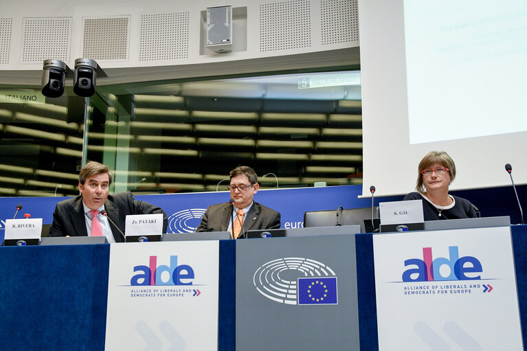 Photo 14 : Meeting of the Minority Intergroup