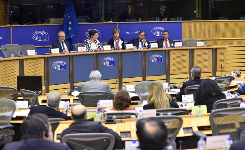 Fotografie 3: 24th meeting of the EU-Chile Joint Parliamentary committee - Opening session