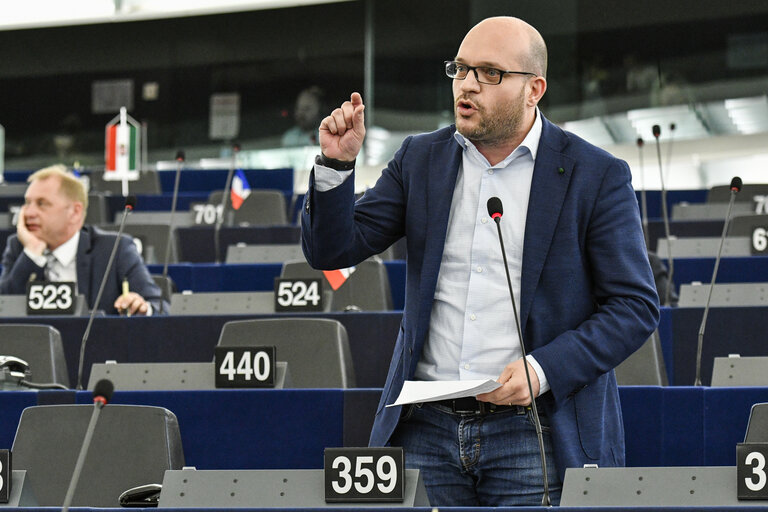 Fotografia 8: Lorenzo FONTANA MEP speaks in plenary session - Week 20  2017 in Strasbourg