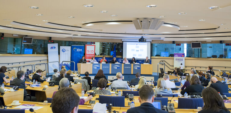 Fotografie 19: 1st EU STROKE SUMMIT - Understanding the Burden of Stroke in Europe