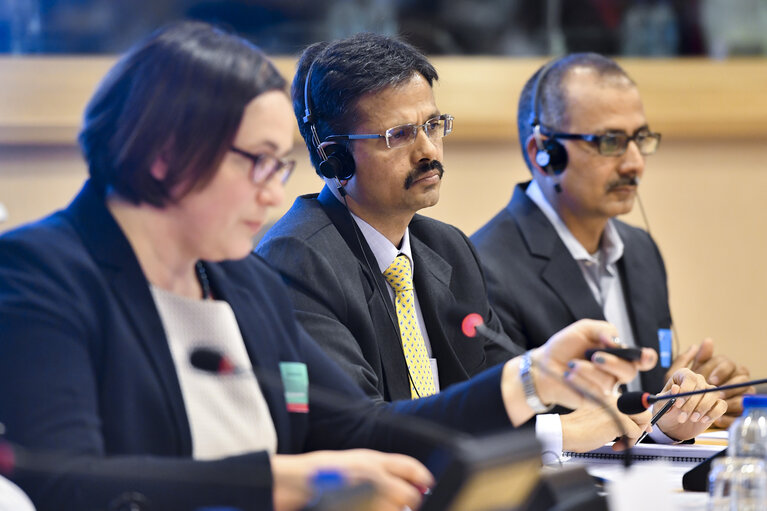 Fotografie 2: DROI/INTA joint hearing on Business and Human Rights in EU External Policies -  Implementation of the UN Guiding Principles on Business and Human Rights and access to remedies