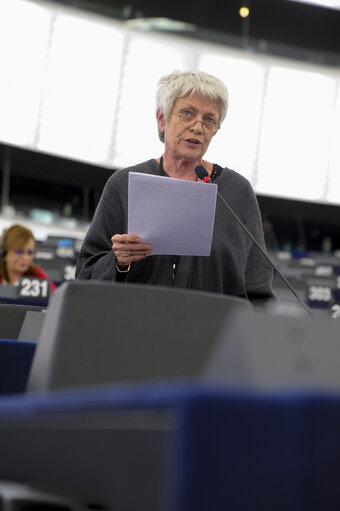 Fotó 4: Plenary session week 43 2014 in strasbourg - Preparation of the European Council (23-24 October 2014)  Council and Commission statements