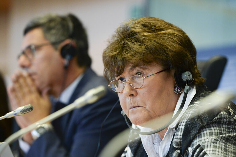 Fotogrāfija 3: ENVI Committee - Ebola crisis : Exchange of views with the WHO Regional Director for Europe