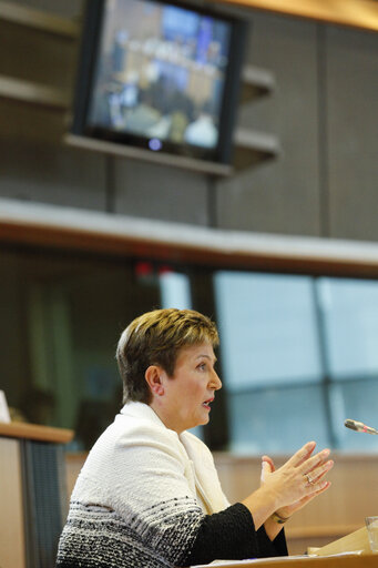 Foto 1: Hearing of Commissioner-designate for Budget and Human Ressources - BUDG - CONT