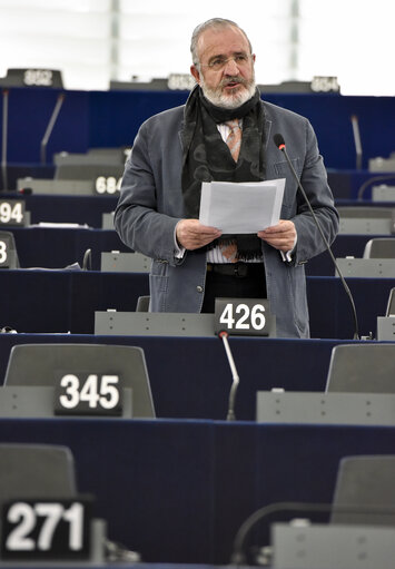 Plenary session week 43 2014 in strasbourg - European IS fighters