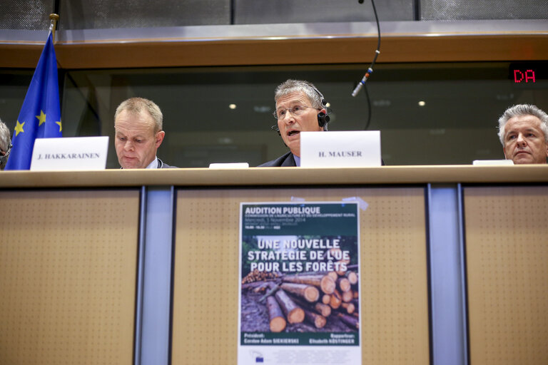 Photo 7 : AGRI Hearing  A new EU Forest Strategy: for forests and the forest-based sector