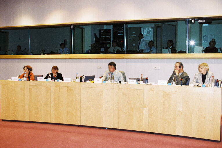 Zdjęcie 9: Meeting of the BSE Committee of Inquiry in Brussels