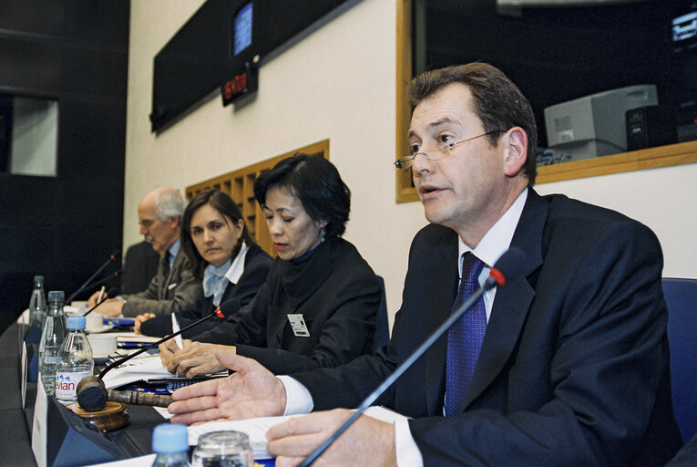 Foto 9: Public Hearing:  China and the EU arms embargo: Time to lift the embargo ?