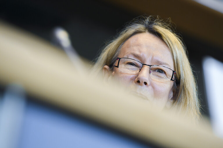 IMCO Working Group on the Digital Single Market